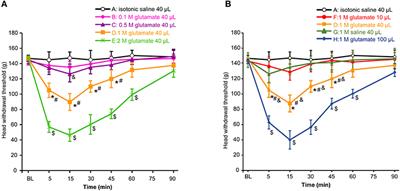 Genistein Antagonizes 17β-Estradiol Effects on Glutamate-Evoked Masseter Muscle Hypernociception in Rats